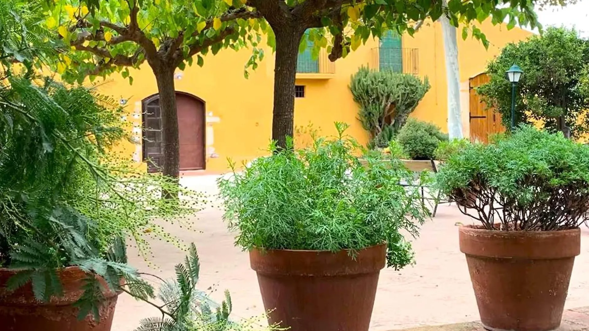 Villa Mansion In Riudoms